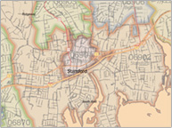 Real Estate Real Estate