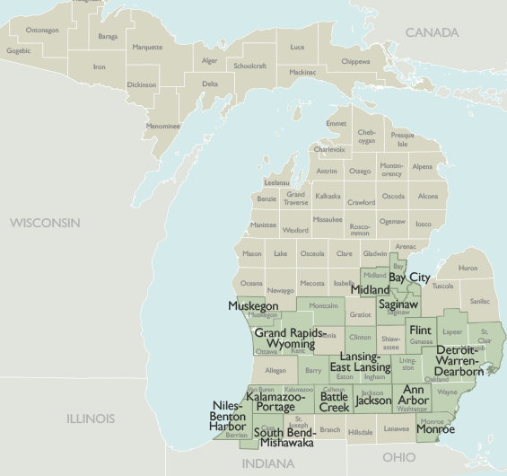Metro Area Wall Maps of Michigan