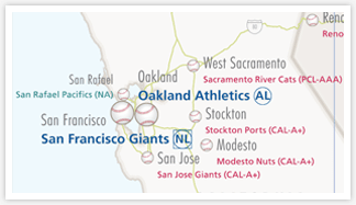 Explore Professional Baseball Teams