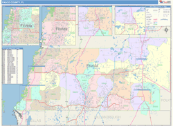 Pasco County, FL Wall Map Color Cast Style by MarketMAPS