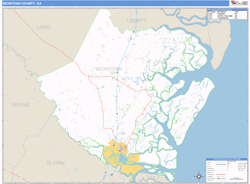 McIntosh County, GA Wall Map Basic Style by MarketMAPS