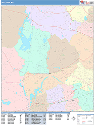 Waltham Massachusetts Wall Map (Color Cast Style) by MarketMAPS