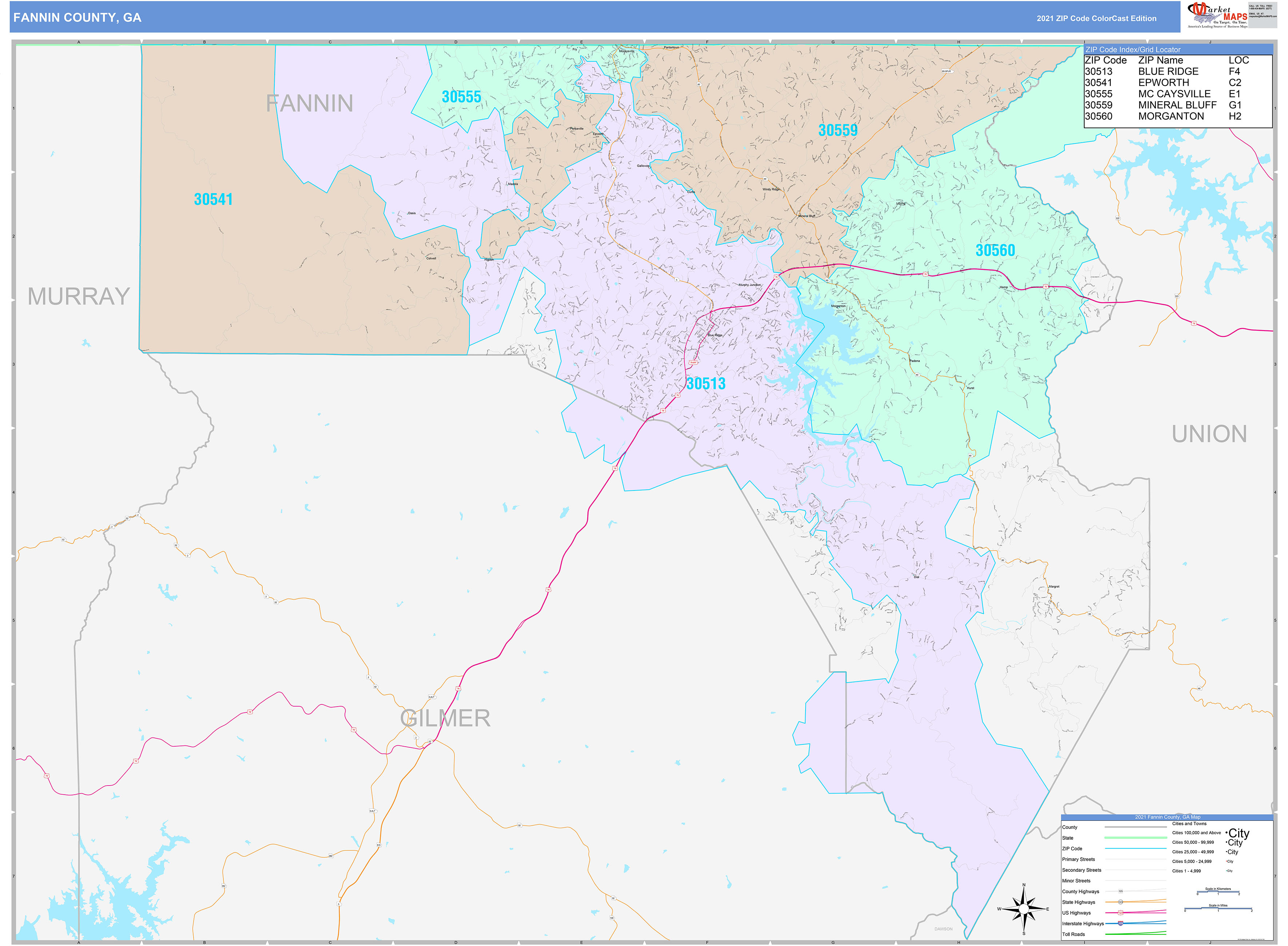 Fannin County, GA Wall Map Color Cast Style by MarketMAPS MapSales