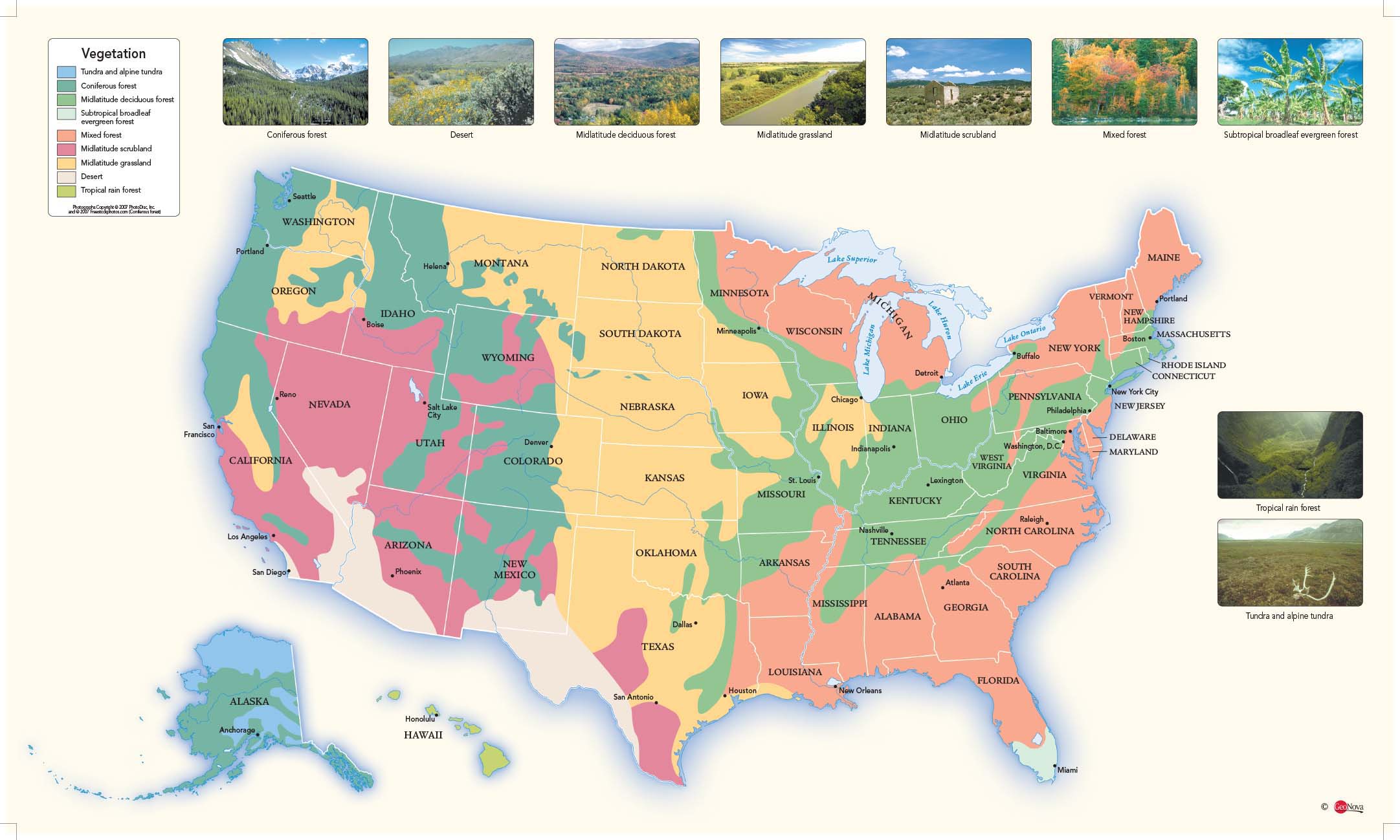 US Vegetation Wall Map by GeoNova - MapSales