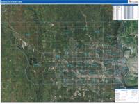 Douglas , Ne Wall Map