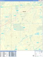 Naperville Wall Map