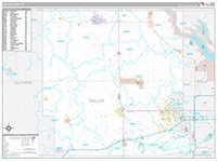 Dallas, Ia Carrier Route Wall Map