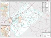 Aiken County Wall Map Premium Style 2009