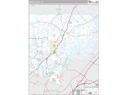 Forsyth County, GA Wall Maps