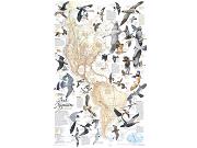 Western Hemisphere Bird Migration Wall Map