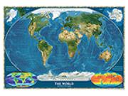 World Satellite Wall Map