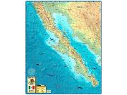 Baja Wall Map Baja Wall Map