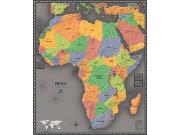 Africa Physical Wall Map