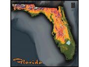 Florida Topo Wall Map Florida Topo Wall Map