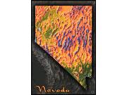 Nevada Topo Wall Map Nevada Topo Wall Map