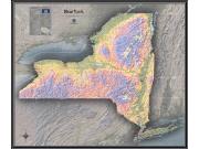 New York Physical Wall Map New York Physical Wall Map