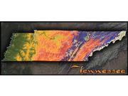 Tennessee Topo Wall Map Tennessee Topo Wall Map