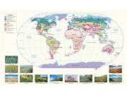 World Vegetation Wall Map