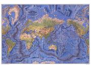The World Ocean Floor 1981 Wall Map The World Ocean Floor 1981 Wall Map