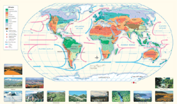 World Climate Wall Map by GeoNova