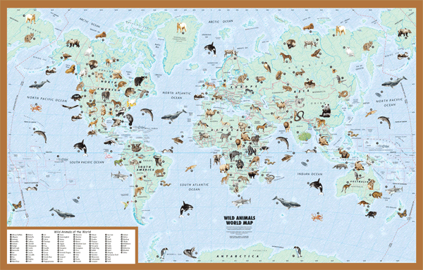 Wild Animals World Wall Map